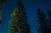 Loups-garous : jeu immersif en forêt d'Arques ce samedi
