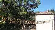 Marché des créateurs contre le cancer pédiatrique à Saint-Rome