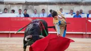 Marco Pérez : un solo historique aux arènes de Nîmes