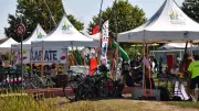 Mauguio : Les Asso's font leur rentrée, fusion du forum et de la fête du sport