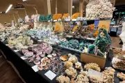 Mineral Event à Antibes : 14e édition, nouveautés et fossiles