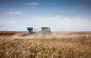 Moselle : un RSA agricole pour aider les agriculteurs en crise