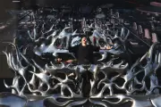 Mosimann nouveau directeur de la Star Academy sur TF1