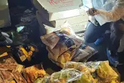 Nice : 150 kg de denrées détruits, un smash burger fermé