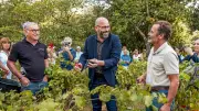 À Nîmes, le Clos de la Fontaine ouvre la feria des Vendanges
