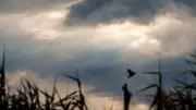 Orages et pluie inondation : l'Hérault, le Gard et la Lozère en vigilance orange