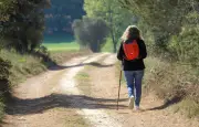 Panneaux étonnants dans la Montagne de Reims pour protéger la faune