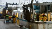Pêche en Méditerranée : mouvement de protestation illimité dès lundi