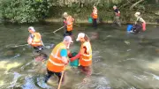 Pêches électriques dans le Lodévois : des données pour gérer les rivières