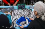 Pêcheurs : blocage d'un dépôt pétrolier à Fos-sur-Mer