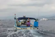 Pêcheurs méditerranéens : mobilisation contre la hausse du carburant