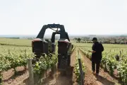 Robots dans les vignes du Beaujolais : la haute technologie au service du patrimoine