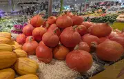 Salmonellose : 81 cas liés à des graines de courge vendues chez Grand Frais