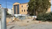 Sète : cinq tilleuls abattus pour la future salle Brassens