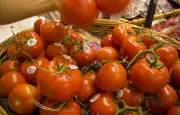 Système U annule une promo sur les tomates face à la sécheresse