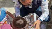 Tombolas du marché de Pérols : fin de saison réussie