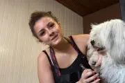 À Vallauris, Anaïs, 20 ans, ouvre son salon de toilettage canin Amourdog