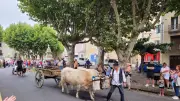 Vendres : la fête des vendanges et traditions occitanes se prépare