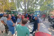 Vignes du Castellet : les élus saisissent le préfet contre un tracé routier