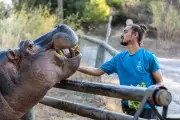 Zoo de Fréjus : course contre la montre pour reloger les animaux