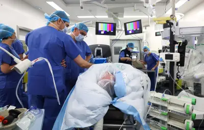 Albi : la clinique Toulouse-Lautrec s'équipe du robot ROSA Knee