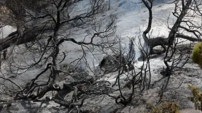 Algérie : peine de mort étendue aux incendies criminels