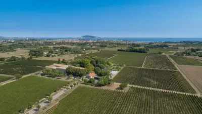 Balade des cépages au domaine Saint-André de Mèze le 17 octobre