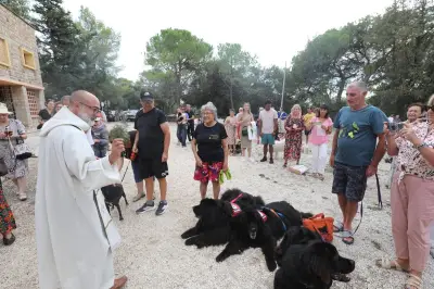 Bénédiction des animaux à Hyères : 800 ans après saint François, la tradition perdure