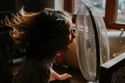 Canicule : adapter son logement, nos conseils par étapes