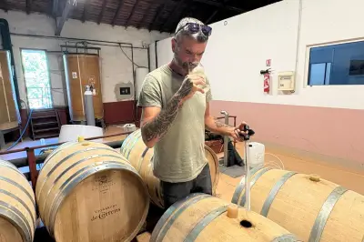 Cuvée solidaire en projet à Correns après l'incendie du Gros Bessillon