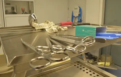 Féminicide à Narbonne : la famille réclame les organes de Cristal