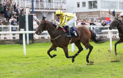 Galop : Amiens conserve ses quatre réunions menacées