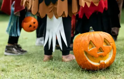 Halloween à Zoodyssée : citrouilles, énigmes et gratuité pour les enfants déguisés