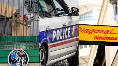 Incendie, trafic d'oiseaux, cinéma : l'actu en région