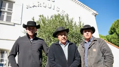 La manade Laurent aux arènes de Lunel pour la Royale