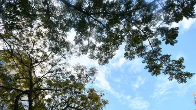 Météo : ciel voilé et pluies fines ce dimanche en France