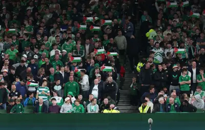Nations League : match Irlande-Autriche interrompu par des actions pro-palestiniennes