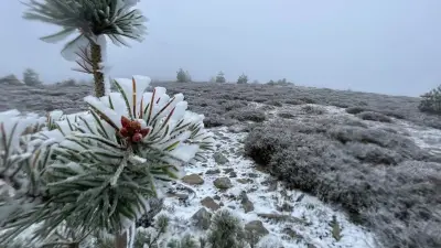 Neige sur le Mont Lozère : premiers flocons observés fin octobre