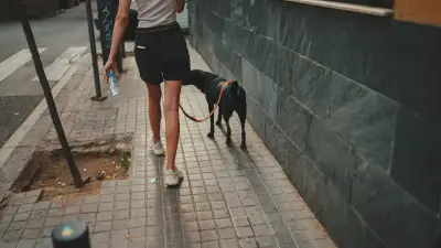Nouveau-né sauvé à Milan après avoir été abandonné dans un sac plastique