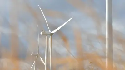 Éolien de Verrières : le Conseil d'État met fin au projet après quinze ans