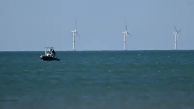Éolien en mer en Occitanie : les parcs expérimentaux tournent