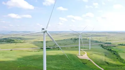 Éoliennes : un lien avec la hausse du vote d'extrême droite