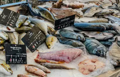 Petits poissons : des atouts santé et écologiques sous-estimés