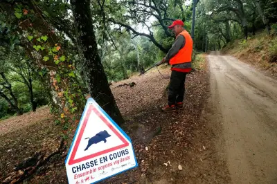 Plus d'un million de sangliers prélevés en France en 2025-2026