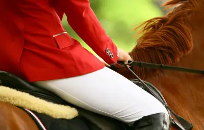 Équidays 2024 : cinq parades nocturnes dans le Calvados