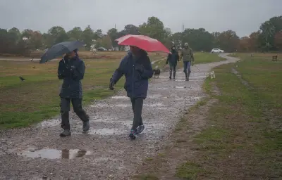 Tempête Boelo : 56 départements en vigilance jaune ce dimanche