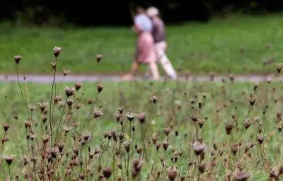 Thaon-les-Vosges : des panneaux humoristiques contre les ébats sexuels