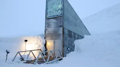 Ukraine : premières semences déposées au Svalbard depuis 2012