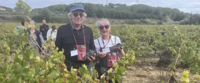 Vendanges à l'ancienne : des centaines de participants à Chusclan