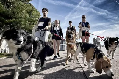 Woofrun à Nice : 500 coureurs et leurs chiens pour la plus grande course canine